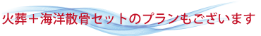 火葬と海洋散骨のセットプランもございます